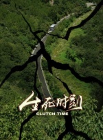 又粗又黄
