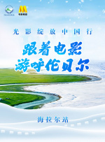 综合久久久久久中文字幕